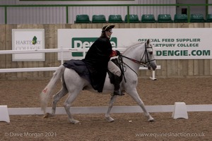 Lusitano Breed Society of Great Britain Show - Hartpury College - 27th June 2009